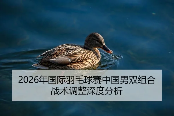 nian-guo-ji-yu-mao-qiu-sai-zhong-guo-nan-shuang-zu-he-zhan-shu-tiao-zheng-shen-du-fen-xi-2-358.jpg